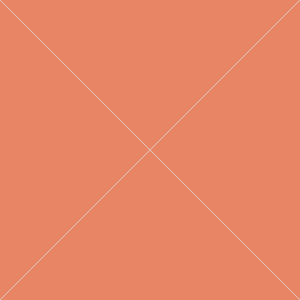 Product 6