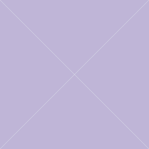 Product 13